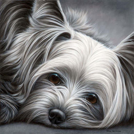 Dog Tired Series - Yorkshire Terrier - Original