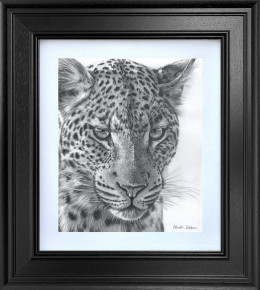 Emerald Gaze - Limited Edition Study - Black Framed