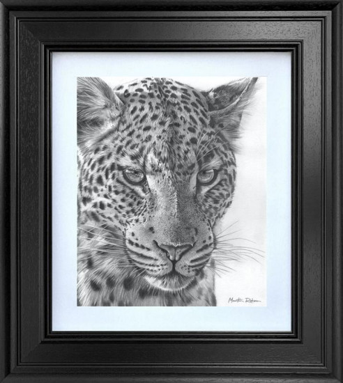 Emerald Gaze - Limited Edition Study - Black Framed