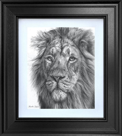 Golden Majesty - Limited Edition Study - Black Framed