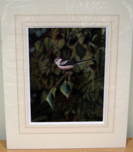 Long-Tailed Tit - Original - Dark Wood Framed