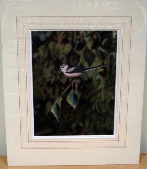 Long-Tailed Tit - Original