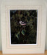 Long-Tailed Tit - Original - Dark Wood Framed