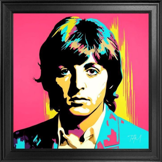 McCartney - Fabrica Collection (On Velvet) - Framed