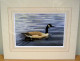 Study Of A Canada Goose - Original - Dark Wood Framed