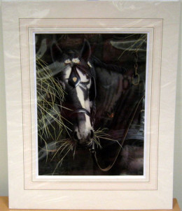 Study Of A Horse - Original - Dark Wood Framed