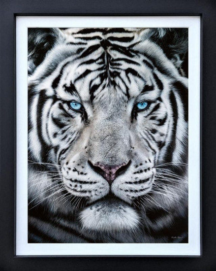 The Silent Warrior - Canvas - Limited Edition - Black Framed