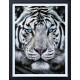 The Silent Warrior - Deluxe Canvas - Limited Edition - Black Framed