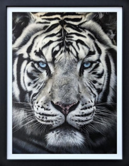 The Silent Warrior - Original - Black Framed