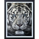 The Silent Warrior - Original - Black Framed