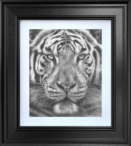 The Silent Warrior - Limited Edition Study - Black Framed