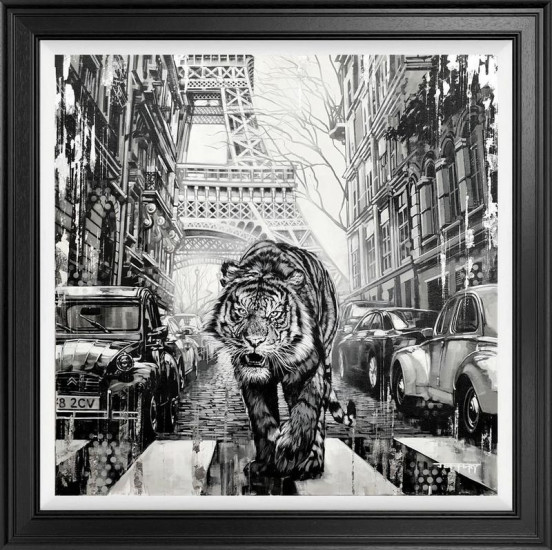 Urban Hunter - Limited Edition - Black Framed