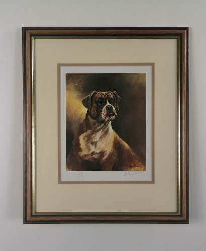 Boxer Dog - Brown Framed by Mick Cawston