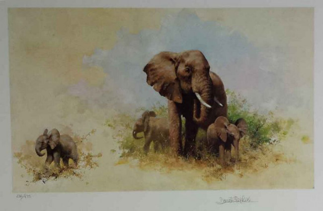 Elephant And Babies