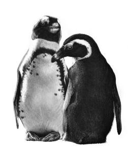 Just The Two Of Us - Penguins - Black Framed