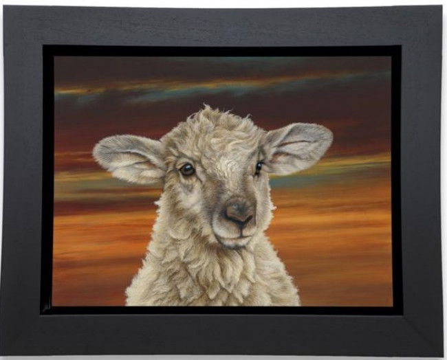 Shepherds Delight - Box Canvas