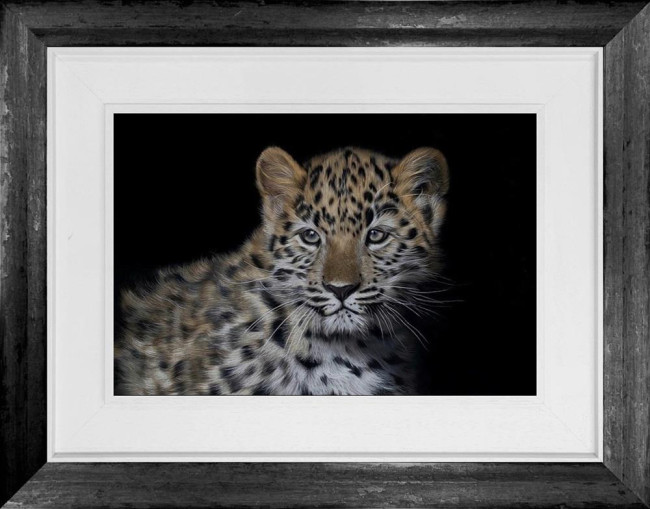 Amur Leopard Cub - Original - Framed