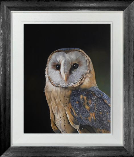 Barn Owl At Twilight - Original - Framed