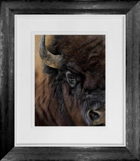 Bison - Original - Framed