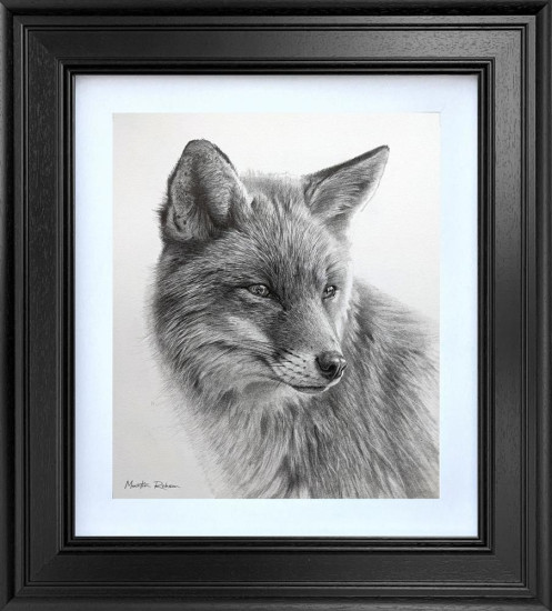 Curious Fox - Study - Original - Black Framed