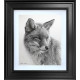 Curious Fox - Study - Original - Black Framed