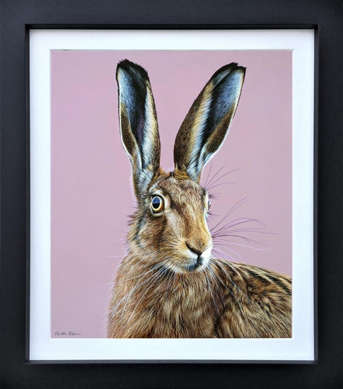 Harry - Original - Framed