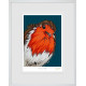 Rockin Robin - White Framed