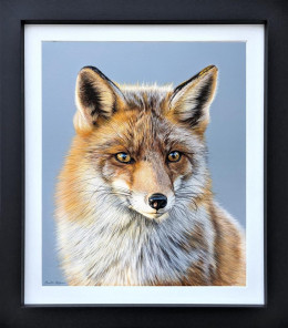 The Watchful Wanderer - Original - Black Framed