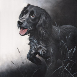 Field Sports - Cocker Spaniel - Canvas - Box Canvas