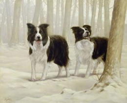 Winter Friends I - Border Collies - Print only