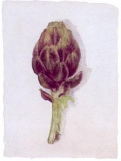 Artichoke